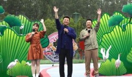 王者风神爆料最新消息视频,揭秘神秘英雄与全新游戏玩法