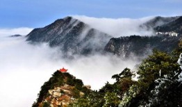 庐山景区爆料事件最新